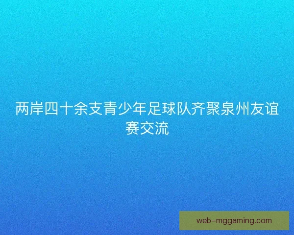 两岸四十余支青少年足球队齐聚泉州友谊赛交流